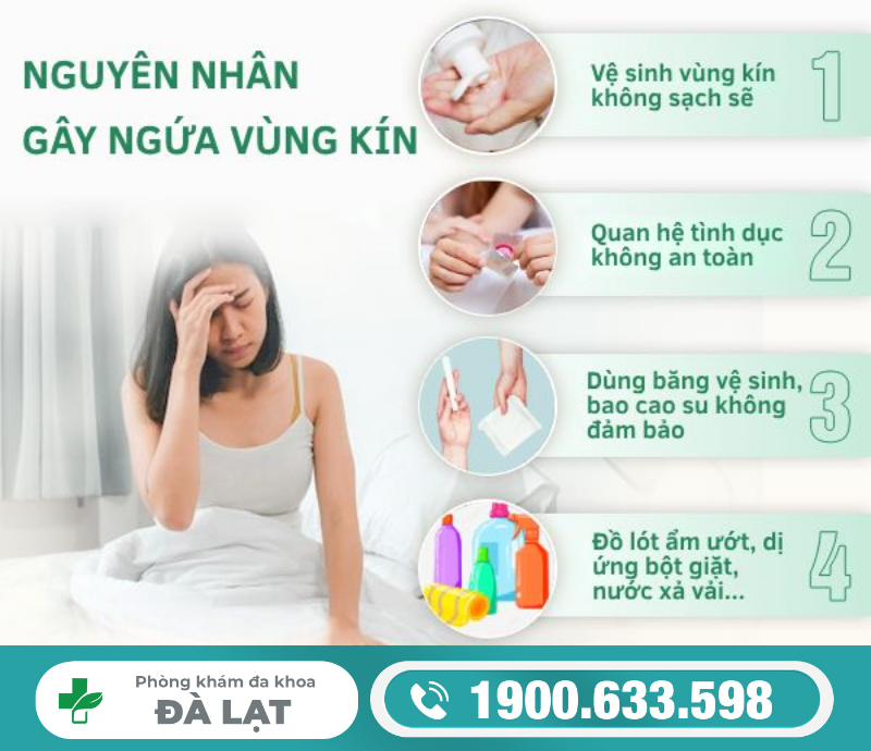 Hình ảnh minh họa